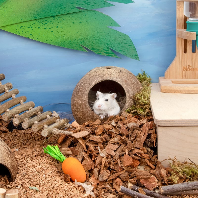 andwe Coconut Hut Hamster House Bed for Gerbils Mice Small Animal Cage Habitat Decor - Image 2